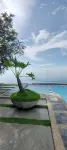 Sea Horizon Resort Hotels in Zamboanguita