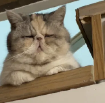 CITY Boutique Inn (Suzhou Guanqian Street Pingjiang Road Branch) Hotels near Suzhou Museum