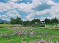 Qujing Qihui Intelligent Hotel (Qiqu Dreams Great World Branch) - spa