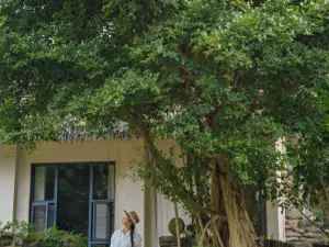 Yangshuo Donglixia Homestay