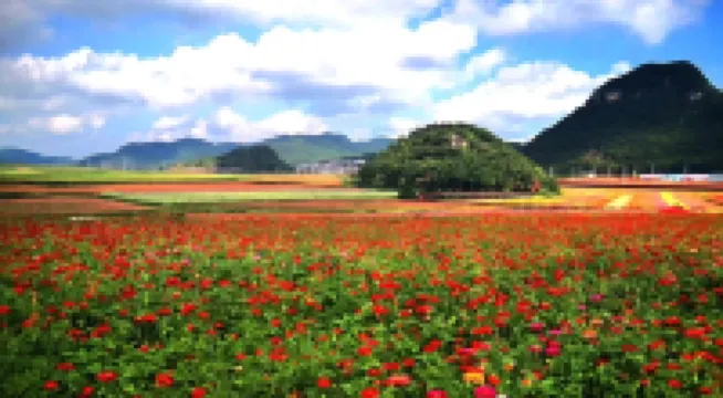 Luoping Forest Garden Farm