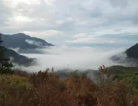 Yishanbens Homestay (Songyang Chenjiapucun Shop) Hotels in Songyang