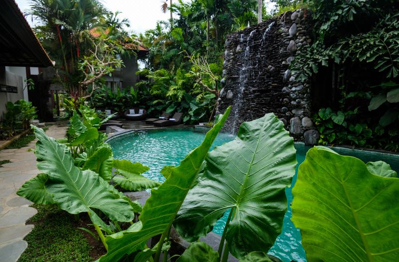 Japa Suites & Villas photo 2