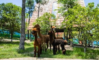 Nantong Sendi Tribe Treehouse