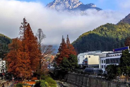 黄山临溪一楼住宿