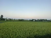 Pengzhou Lanruo Qingtianju