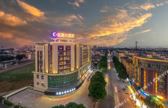 龍州龍嘉大酒店（龍嘉大廈百貨超市店）