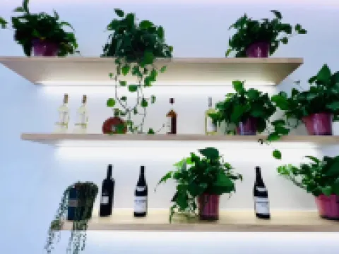 柏林酒店（荊塗路店）