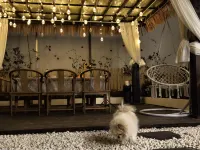 Dali Zhishui Homestay (Longkan Wharf Branch) 차이춘/재촌 관광단지 호텔