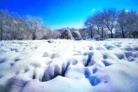 Yilan Homestay (Shenyang North Station SY University)