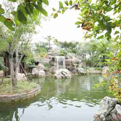 新鄉德潤會議中心 Hotel Exterior