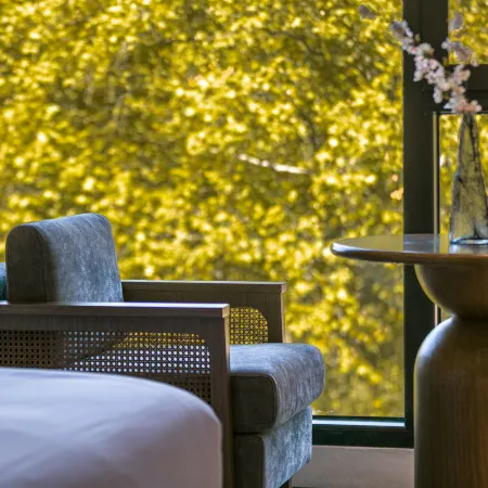 LuShan THE HOTEL V