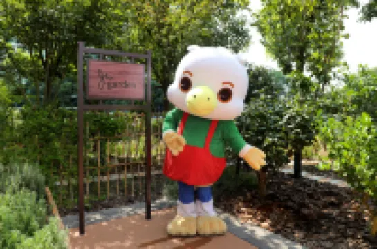 JW Marriott Marquis Hotel Shanghai Pudong Hotels in Shanghai