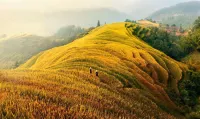 GUAN Shan Yue Hotels in Chongyi County
