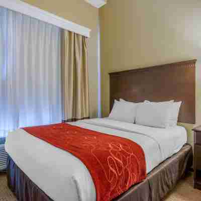 Comfort Suites Sarasota-Siesta Key Rooms