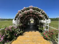 Manju Posthouse