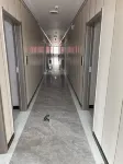 Mangya Tengda Hotel Hotels in Mangya