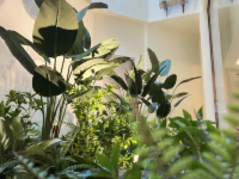 Homeinn Plus Hotels in der Nähe von Capital Medical University