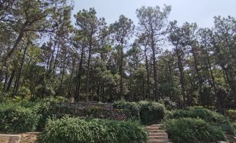 Yunxiao Bali Yuanshu Hot Spring Private Soup Villa