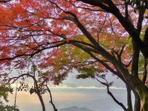 莫干山蔓庭花園觀景度假別墅