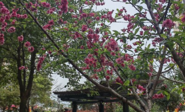 Youyi Theme Apartment (Quanzhou Dongche Station)