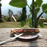My's Homestay