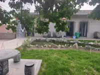 Home and yard Liu