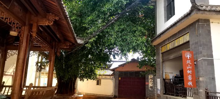 Jizu Mountain Climbing Tree Inn Hotels in Binchuan County