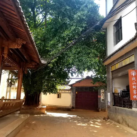 Jizu Mountain Climbing Tree Inn