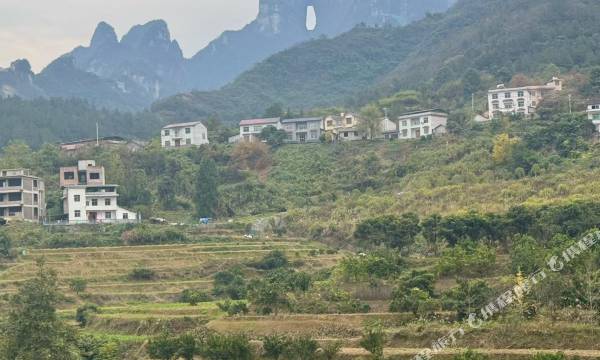WuYun Mountain View Designer Hotel Closest to Tianmen & Fox Fairy Show