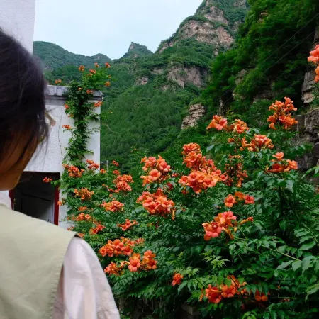 Yi Qingxu Mountain · Shanquan Courtyard Luxury Mountain Residence Homestay