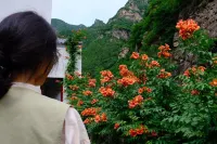 Yi Qingxu Mountain · Shanquan Courtyard Luxury Mountain Residence Homestay - Dağ Manzaralı