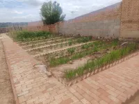 Youjian Courtyard Homestay - Pet-friendly