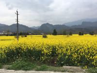 青城山青雅居客栈 - 酒店景观