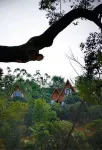 Changtai Mountain Waterside Treehouse