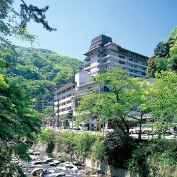 Hotel Okada