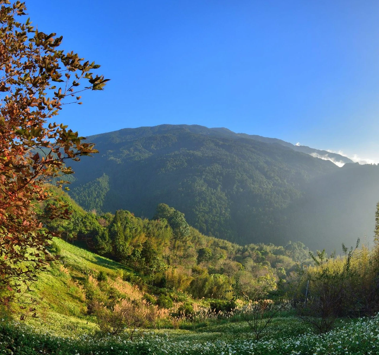 <h1>竹東分局二重埔派出所附近住宿飯店推薦</h1>