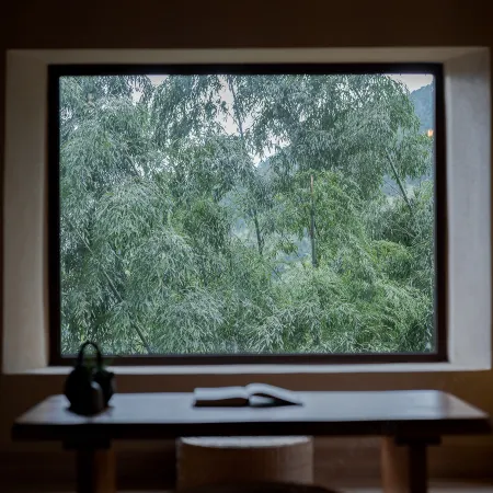 Shanmo Weiyun Homestay (Songyang Chenjiapu Branch)