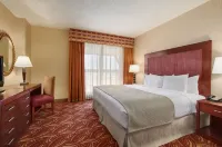 Embassy Suites by Hilton San Marcos Hotel Conference Center فنادق في سان ماركوس