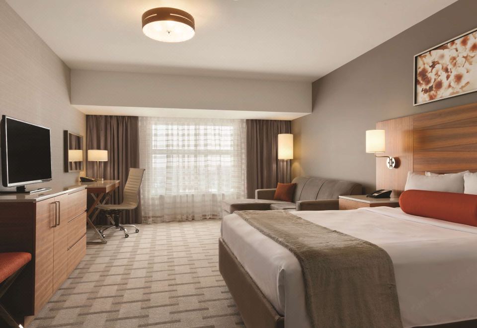 Radisson Blu Conference and Airport Hotel Over view