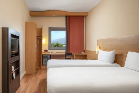 Ibis Bursa