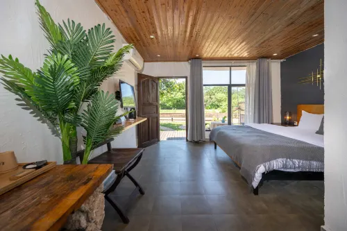 Flowers like Jinmi Anning Island Inn - Bungalow