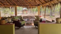 Atulya Kanchi Camp - Evcil Hayvan Kabul Edilen Alan