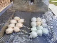 Wuyuan Chenwai Muquan Hot Spring Homestay
