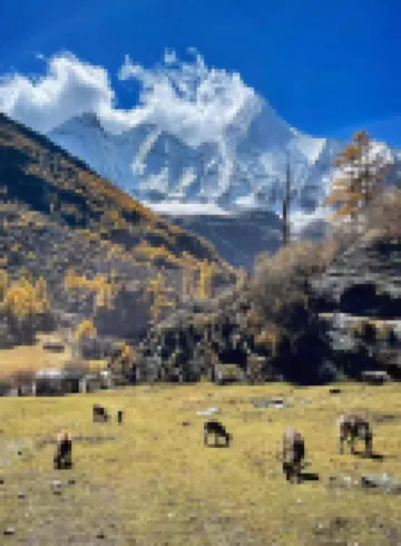 諾林民宿（稻城亞丁店）