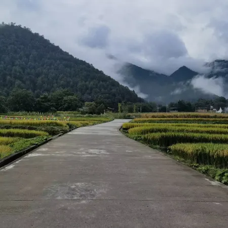 Weixi Fenghe Homestay