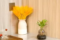 Qingyaju Homestay