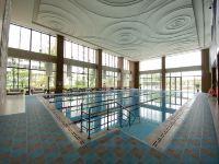 上海太平小镇梧桐人家公寓酒店 - 室内游泳池