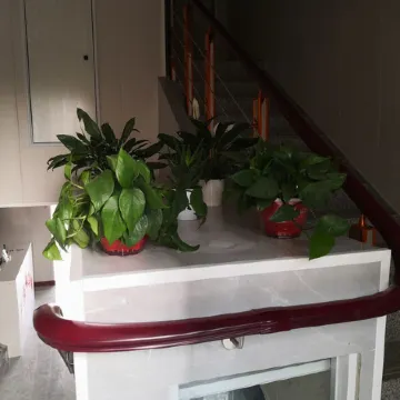 Wangjiang Romantic Yuan Hotel