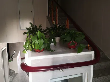 Wangjiang Romantic Yuan Hotel